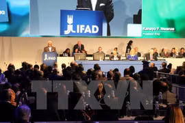 Le Vietnam à la conférence annuelle du conseil administratif de l’IFAD