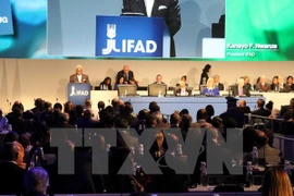 Le Vietnam à la conférence annuelle du conseil administratif de l’IFAD