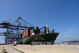 Un cargo de 160.000 tonnes mouille au port de Tan Cang Cai Mep-Thi Vai