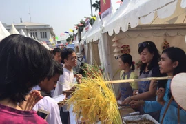 Activités culturelles et sportives en l’honneur du cinquantenaire de l’ASEAN