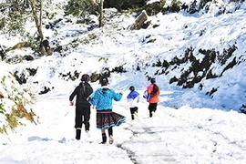 Coup d'envoi de la Fête de l’hiver de Sa Pa 2017