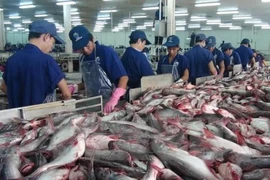 Le Vietnam exporte 518 millions de dollars de produits aquatiques en janvier