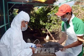 Le Vietnam renforce le contrôle des épidémies en 2017
