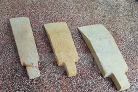Des objets vieux de 3.000 ans trouvés à Binh Phuoc