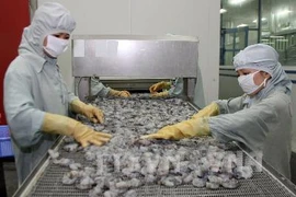 L’UE, premier marché pour les crevettes vietnamiennes