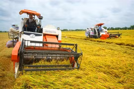 Thanh Hoa promeut le mouvement d'édification d'une Nouvelle ruralité