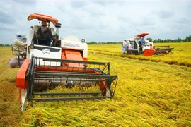 Thanh Hoa promeut le mouvement d'édification d'une Nouvelle ruralité