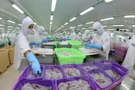 L’Asie, un marché important pour les crevettes vietnamiennes