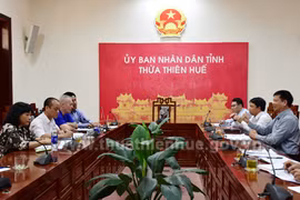 FIFA et UEFA finance un projet de football à Thua Thien-Hue