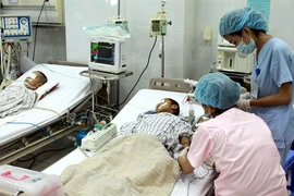 Alerte : importante épidémie d’encéphalite japonaise au Vietnam