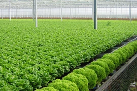Le Forum international sur l’agriculture bio attire 400 délégués étrangers