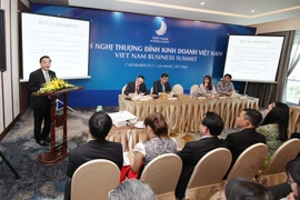 APEC 2017: Les startups font face à de nombreuses difficultés, selon une déléguée de VBS