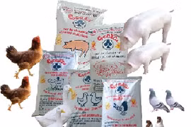 Coopération internationale pour améliorer la gestion de la qualité des aliments pour animaux