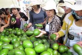 Ouverture du festival des fruits du Nam Bo 2017
