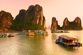 Tourisme : le Vietnam dans le top des pays à la plus forte croissance
