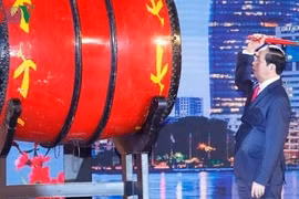 Le programme “Printemps au pays natal 2017” organisé à Hô Chi Minh-Ville