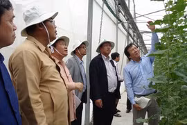 Hô Chi Minh-Ville et Champassak renforcent leurs relations de coopération