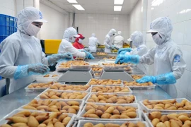 2017: bond des exportations de marchandises d’Hô Chi Minh-Ville