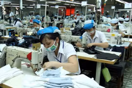 Dong Thap attire 19 projets d'investissement direct étranger
