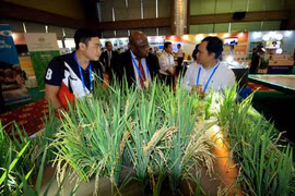 APEC 2017: Vernissage d’une exposition sur l’agriculture à Can Tho