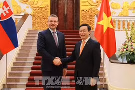 Accélérer la promotion commerciale et d’investissement Vietnam-Slovaquie 