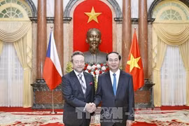 Le président Tran Dai Quang salue de nouveaux ambassadeurs