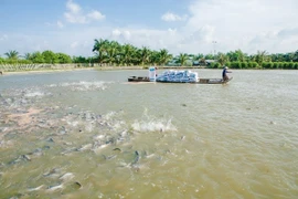 9 milliards de dollars d’exportations de produits aquatiques