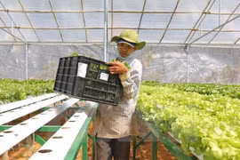 ​Projet de développement de la culture sous serre à Dien Bien avec l'aide d'Israël