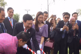Le parc de l'APEC au bord du fleuve Hàn, une destination à ne pas manquer à Da Nang