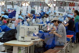 Hanoï attire l'investissement dans les zones et les complexes industriels 