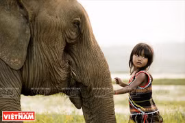 Exposition "Patrimoine précieux" de Réhahn Croquevielle
