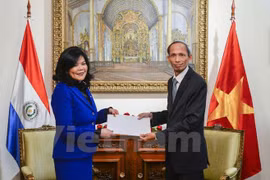 Le Vietnam et le Paraguay ont de grands potentiels de coopération