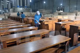 Les exportations nationales de bois vers l’UE devraient atteindre un milliard de dollars en 2020