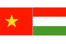 Vietnam - Hongrie : Promouvoir la coopération dans le commerce et l’investissement
