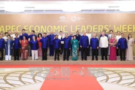La 25e conférence des dirigeants économiques de l'APEC à Da Nang