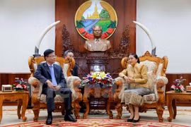 Le Vietnam et le Laos renforcent leur coopération dans la justice