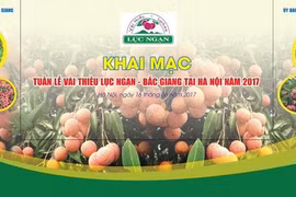 La Semaine des litchis Luc Ngan à Hanoï