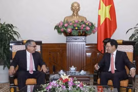Le vice-PM Pham Binh Minh réitère la solidarité avec le peuple cubain