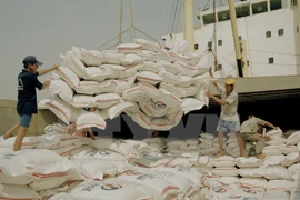 An Giang gagne plus de 500 millions d’USD d'exportations en 8 mois