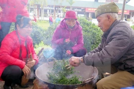 Festival du thé de Thai Nguyen 2017