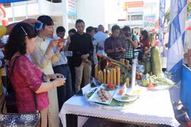 Ouverture de la Semaine de la culture, de la cuisine et de la course de chevaux à Gia Lai