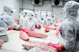 Thon: croissance impressionnante des exportations vietnamiennes en Tunisie