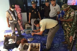 Thaïlande : bébés orangs-outans et tortues sauvés de la contrebande