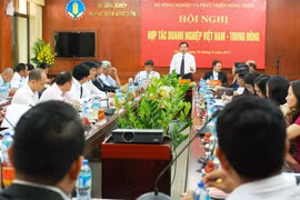 Le Vietnam envisage d'augmenter ses exportations vers le Moyen-Orient