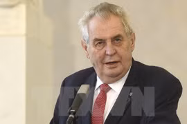 Les relations Vietnam-R. tchèque au beau fixe 