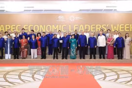 La 25e conférence des dirigeants économiques de l'APEC à Da Nang