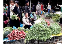 Promenade au marché de Sa Pa