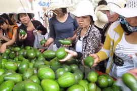 Ouverture du festival des fruits du Nam Bo 2017