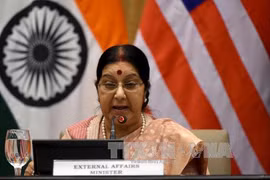 Le Vietnam au 9e Dialogue de Delhi, en Inde