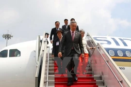 Promouvoir la coopération entre Da Nang et Singapour